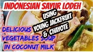 INDONESIAN SAYUR LODEH - VEGETABLES SOUP IN COCONUT MILK