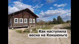 Наводнение. Ледоход. Жара. Как наступила весна на Кокшеньге.