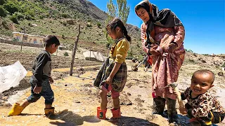 Single Mom's Rice Farming: Soil and Success