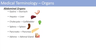 Medical Terminology - The Basics - Lesson 1