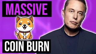BABY DOGE HOLDERS🚀  MASSIVE COIN BURN EXPECTED🚀  BABY DOGE PRICE PREDICTION🚀