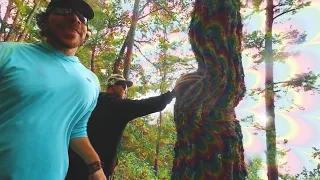 Tripping on Mushrooms in a Cloud Forest (San Jose del Pacifico)