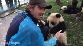 20170221 Lee Pace with Pandas 04 Go out for a walk!