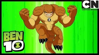 Бен 10 на русском | Кошачьи когокти | Cartoon Network