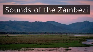 Night by the Zambezi river - Sounds of Africa