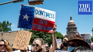 Democrats and Republicans clash during Senate hearing on Texas abortion law