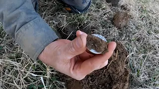 WOW!!! Metal Detecting a newly discovered Civil War Cavalry Camp!!! Relics galore!!! A must watch!!!