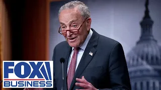 Chuck Schumer criticized for 'disgusting' comments on Israel