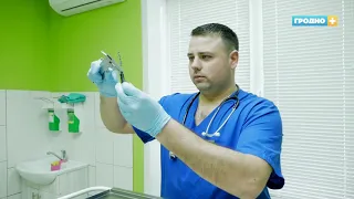 Впервые в Беларуси провели протезирование сразу двух передних лап кошки