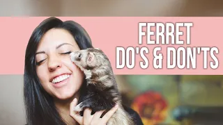 Do's and Don'ts for Ferret Owners