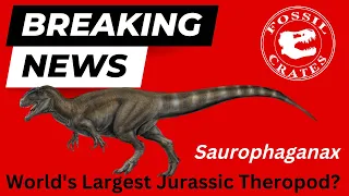 Saurophaganax - Largest Jurassic Theropod Dinosaur?