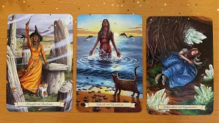 ⚡️⚡️ UNEXPECTED BLESSINGS AND CHANGES | Timeless Tarot Collective Reading 🌟✨ | Whimsical Tarot 🔮