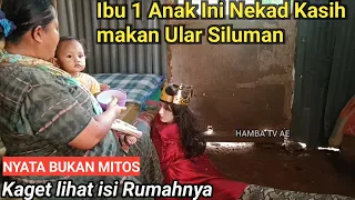 Asli Nyata..!! Ibu 1 Anak Nekat kasih makan siluman ular kepala manusia yang biasa datang kerumahnya