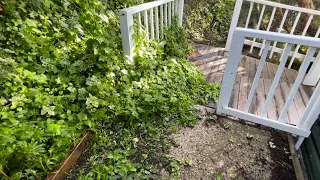 HELP!… is needed in this abandoned garden I start with the path ways | oddly satisfying 1 of 2