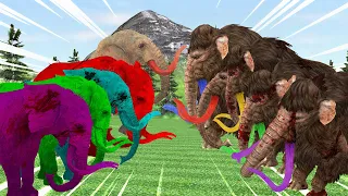 5 Mammoths vs 5 colored Elephants | colored battle