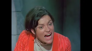 The Protectors Series 2 Episode 16 (1973)