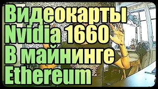 Видеокарты 1660 в майнинге Ethereum | Балконный майнинг