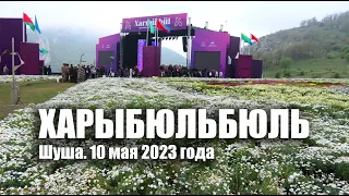 Фестиваль «Харыбюльбюль». Шуша. 2023