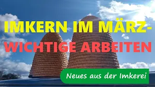 Bienen im März / Auswintern von Bienenvölkern - Neues aus der Imkerei