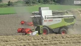 Endspurt Dreschen `23 - Claas Lexion 740 und 560 geben alles - Landwirtschaftl. Lohnbetrieb Zollner