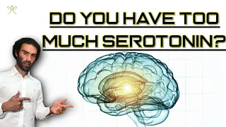 Do You Have Too Much Serotonin?!