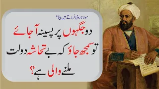 do jaga par pasina aa jay to ye dolat any ki nishani hai (signs of rich)  Best aqwal e zareen Quotes