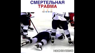 Смертельный удар.Тимур Файзутдинов. Хоккей.
