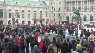 Вена: протест против обязательной вакцинации