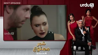 Shajar-e-Mamnu | Episode 342 Teaser | Turkish Drama | Forbidden Fruit | Urdu Dubbing | 31 March 2022