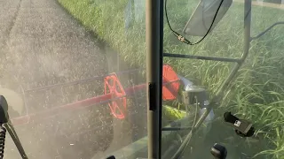 DrescherVlog 2022 #2 Old-School Lexion auf em Hotzenwald Teil 2