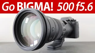 Sigma 500mm f5.6 DG DN REVIEW in-depth