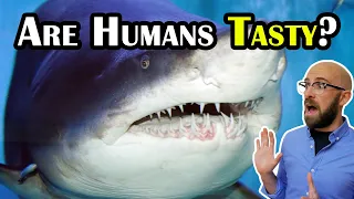 Do Sharks Really Not Like How Humans Taste?