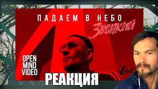 РЕАКЦИЯ НА Звонкий - Падаем в небо (Open Mind Video) / пусть навезёт зато с тобой повезло