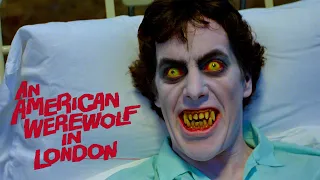 An American Werewolf in London | Trailer HD