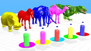 Select The Right Color Bottle Game with Elephant, Gorilla, Hippo ,T-Rex Zebra, Camal