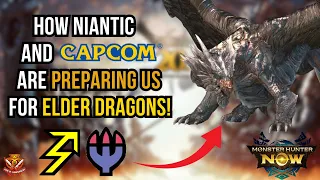 How Niantic/Capcom is preparing us FOR ELDER DRAGONS! l Monster Hunter Now