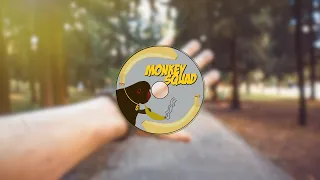 Backstreet Boys - I Want It That Way (MonkeySquad Bootleg)