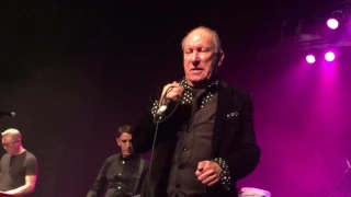 Died Pretty "Sweetheart" at the Enmore Theatre. 16th June, 2017