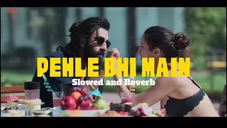 Pehle Bhi Main - slowed and reverb | Animal | Ranbir Kapoor,Tripti Dimri