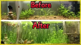 CHEAPEST WAY TO FERTILIZE YOUR  PLANTED AQUARIUM (DIY ROOT TABS!)