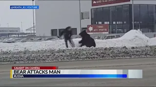 Pet bear chases owner in Russia