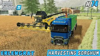 Spraying fertilizer, harvesting sorghum, mulching | Erlengrat Farm | Farming simulator 22 | ep #74