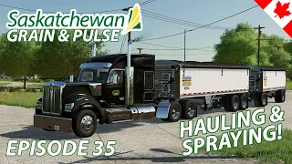 Spraying fields and selling crops! - Saskatchewan Grain & Pulse - EP 35