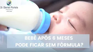 Qual leite dar após 6 meses