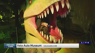 Around Town - Volo Auto Museum