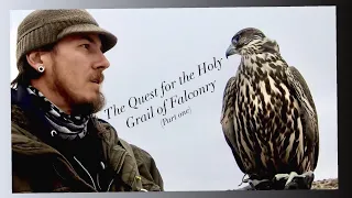 Jerfalcon - The Quest for the Holy Grail of Falconry (part 1)