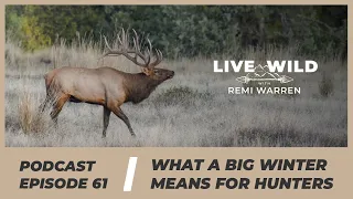 Ep. 61 | What a Big Winter Means for Hunters
