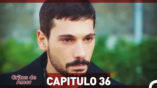 Gritos de Amor Capitulo 36 (Doblaje En Español)