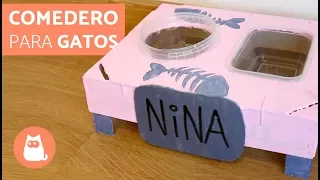 Comedero para GATOS casero y reciclado