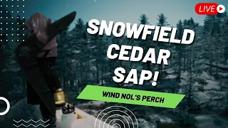 Looking For Snowfield Cedar Sap in Black Desert Online